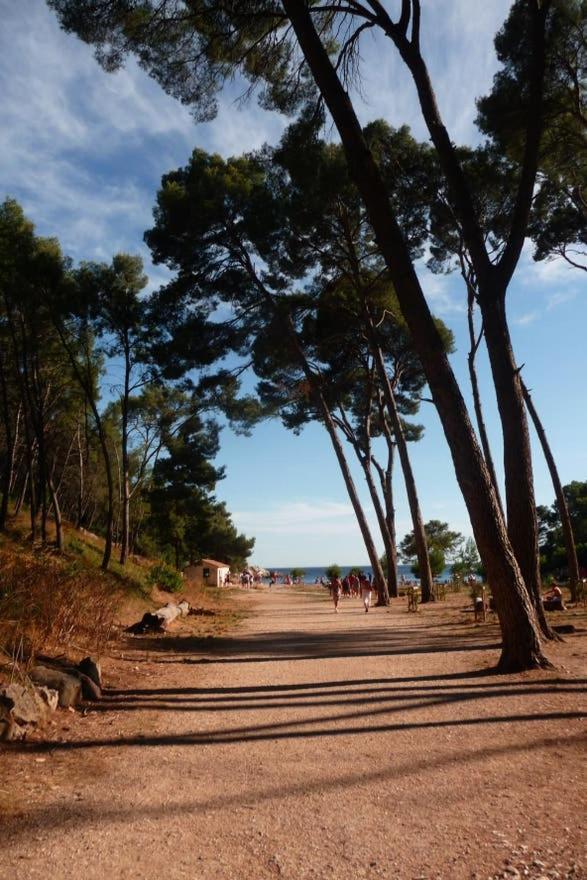 Appartamento Daniel Saint-Cyr-sur-Mer Esterno foto
